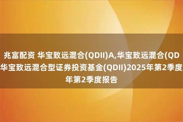 兆富配资 华宝致远混合(QDII)A,华宝致远混合(QDII)C 华宝致远混合型证券投资基金(QDII)2025年第2季度报告