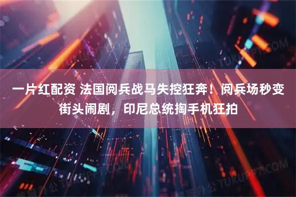 一片红配资 法国阅兵战马失控狂奔！阅兵场秒变街头闹剧，印尼总统掏手机狂拍